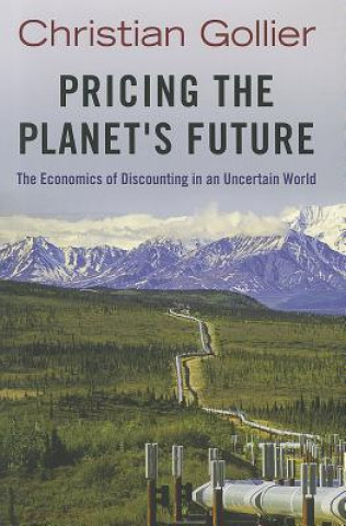 Βιβλίο Pricing the Planet's Future Christian Gollier