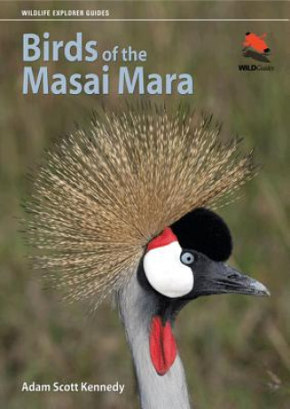 Kniha Birds of the Masai Mara Adam Scott Kennedy