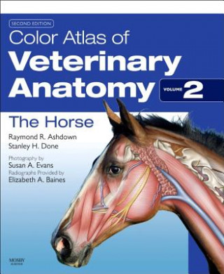 Knjiga Color Atlas of Veterinary Anatomy, Volume 2, The Horse Raymond Ashdown