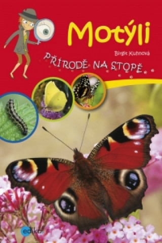 Kniha Motýli Birgit Kuhnová