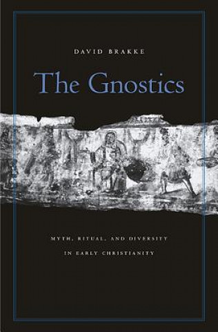 Книга Gnostics David Brakke