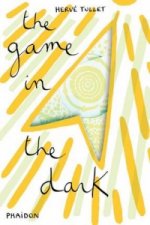 Könyv Game in the Dark Hervé Tullet