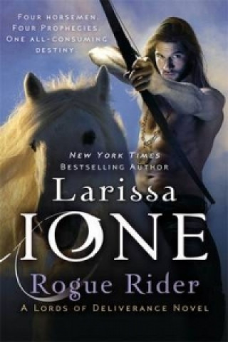 Book Rogue Rider Larissa Ione