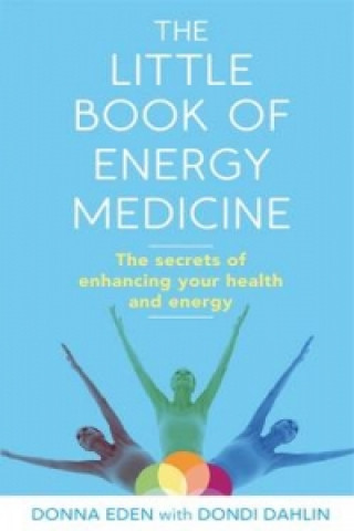 Kniha Little Book of Energy Medicine Donna Eden