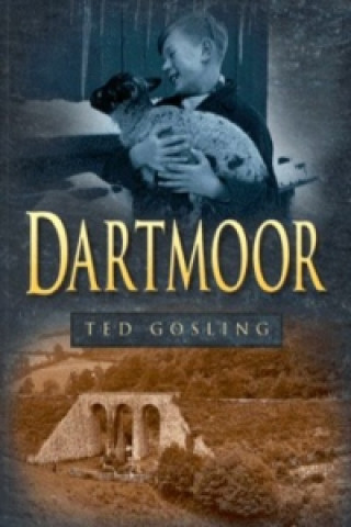Kniha Dartmoor Ted Gosling