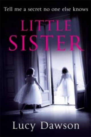 Kniha Little Sister Lucy Dawson