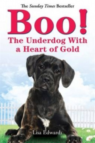 Kniha Boo! Lisa Edwards