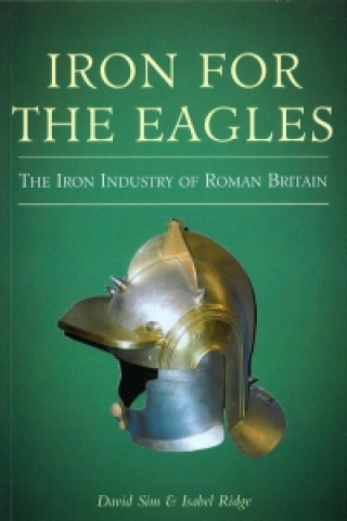 Kniha Iron for the Eagles David Sim