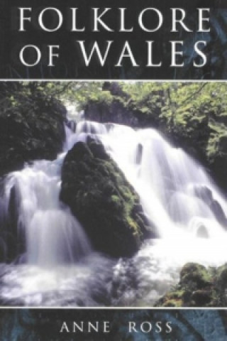 Livre Folklore of Wales Anne Ross