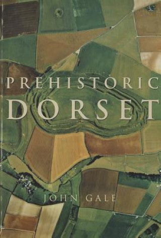 Książka Prehistoric Dorset John Gale