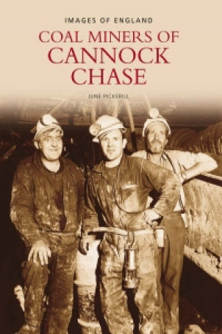 Kniha Miners of Cannock Chase June Pickerill