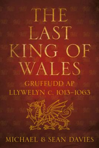 Kniha Last King of Wales Michael Davies