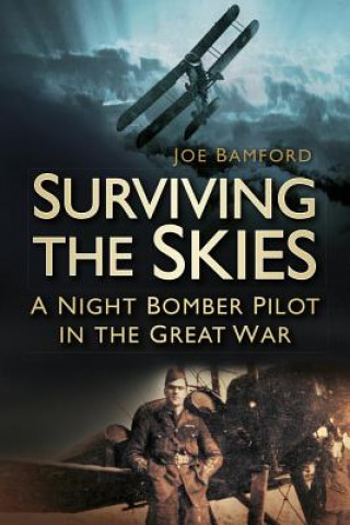 Livro Surviving the Skies Joe Bamford