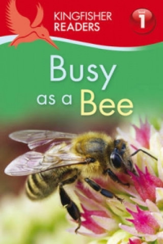 Buch Kingfisher Readers: Busy as a Bee (Level 1: Beginning to Read) Louise P Carroll