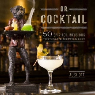 Kniha Dr. Cocktail Alex Ott