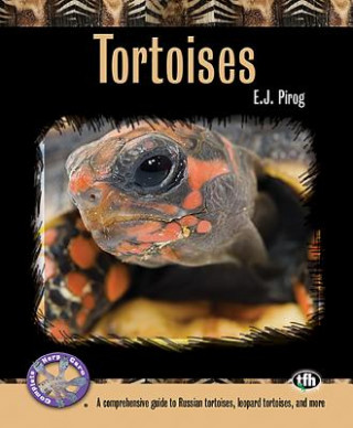 Carte Tortoises E J Pirog