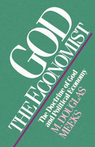 Buch God the Economist M Douglas Meeks