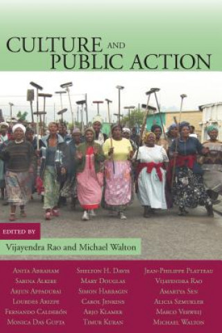 Könyv Culture and Public Action Vijayendra Rao