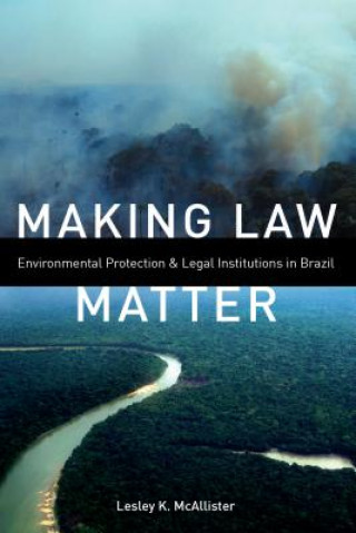 Book Making Law Matter Lesley K McAllister