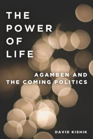 Kniha Power of Life David Kishik