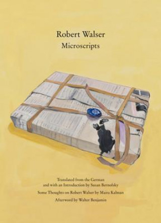 Könyv Microscripts Robert Walser