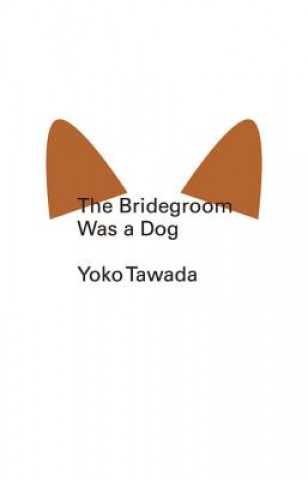 Kniha Bridegroom Was a Dog Yoko Tawada