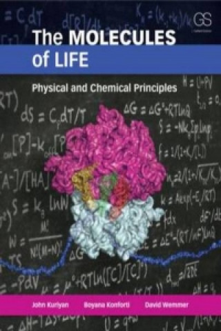 Könyv Molecules of Life John Kuriyan