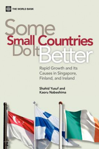 Buch Some Small Countries do it Better Shahid Yusuf