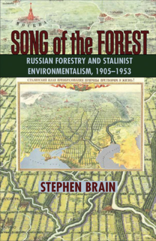 Könyv Song of the Forest Stephen Brain