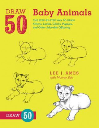 Knjiga Draw 50 Baby Animals LeeJ Ames