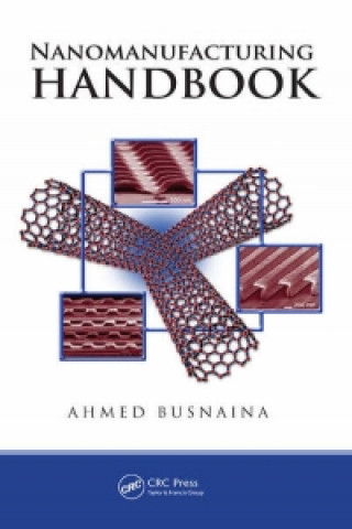 Kniha Nanomanufacturing Handbook Ahmed Busnaina