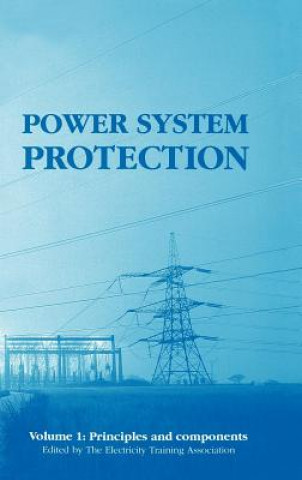 Kniha Power System Protection ElectricityTrainingAssociation
