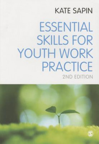 Kniha Essential Skills for Youth Work Practice Kate Sapin