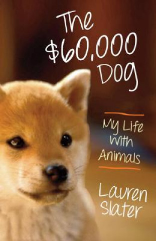 Książka $60,000 Dog Lauren Slater