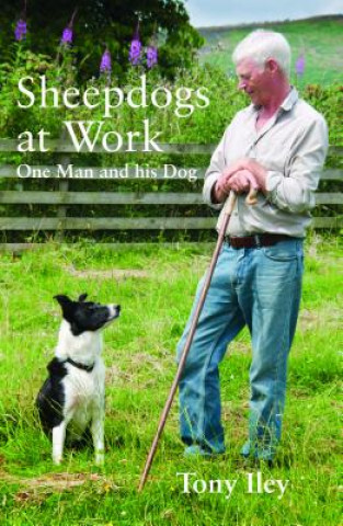 Könyv Sheepdogs at Work Tony Iley