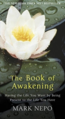 Carte Book of Awakening Mark Nepo