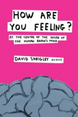 Könyv How Are You Feeling? David Shrigley