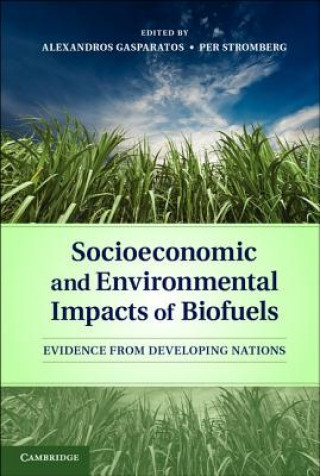 Könyv Socioeconomic and Environmental Impacts of Biofuels Alexandros Gasparatos