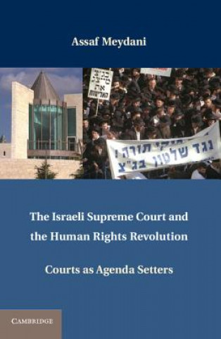 Könyv Israeli Supreme Court and the Human Rights Revolution Assaf Meydani