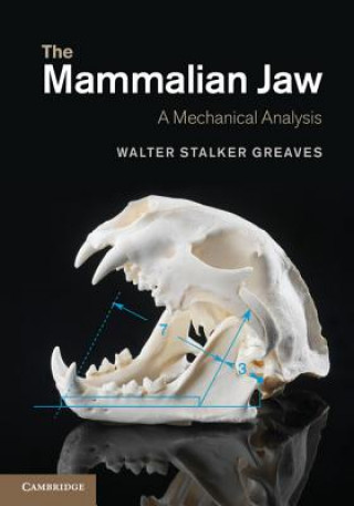 Könyv Mammalian Jaw Walter Stalker Greaves