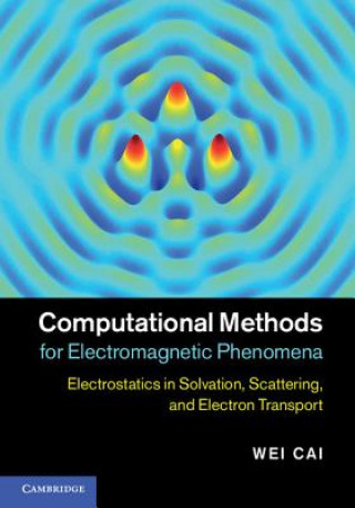 Βιβλίο Computational Methods for Electromagnetic Phenomena Wei Cai