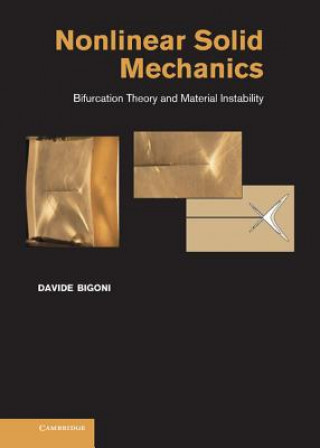 Kniha Nonlinear Solid Mechanics Davide Bigoni