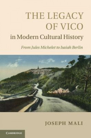 Kniha Legacy of Vico in Modern Cultural History Joseph Mali
