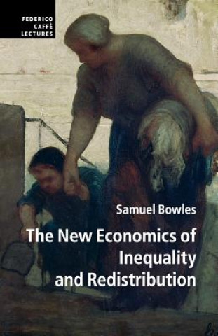 Könyv New Economics of Inequality and Redistribution Samuel Bowles