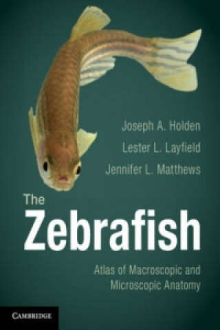 Könyv Zebrafish Joseph Holden