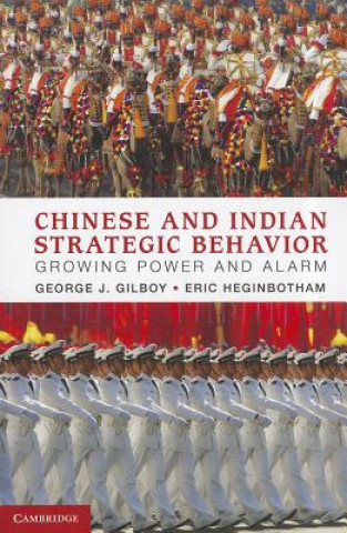 Kniha Chinese and Indian Strategic Behavior George J Gilboy