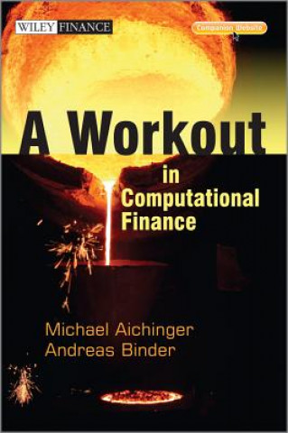 Kniha Workout in Computational Finance Andreas Binder