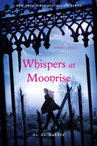 Könyv Whispers at Moonrise C. C. Hunter