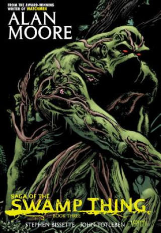 Kniha Saga of the Swamp Thing Book Three Alan Moore