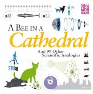 Livre Bee in a Cathedral Joel Levy